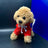 Caniche en Peluche.