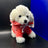 Caniche en Peluche.